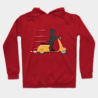 Vespa Doggy Hoodie